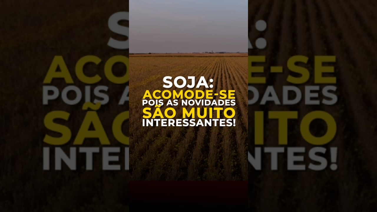 SOJA: ACOMODE-SE, POIS AS NOVIDADES SÃO MUITO INTERESSANTES!