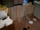 Puppies Living Area Puppies Living Area