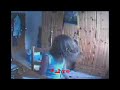 8 j�hrige beim headbangen