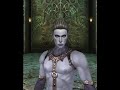 Shaiya - Union of Fury Character Creation - MMORPG
