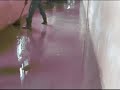 inundatie Carlogani