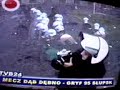 D?b D?bno - Gryf 95 S?upsk