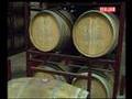 Viajar. Recorremos las bodegas de la Rioja Alavesa