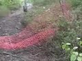 Walk In The Park