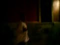 Junot bailando ebrio Junot bailando ebrio