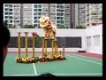 TKO Chinese Lion Dance TKO Chinese Lion Dance