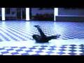 Acromoves