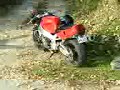 street terror opat�w motocykle