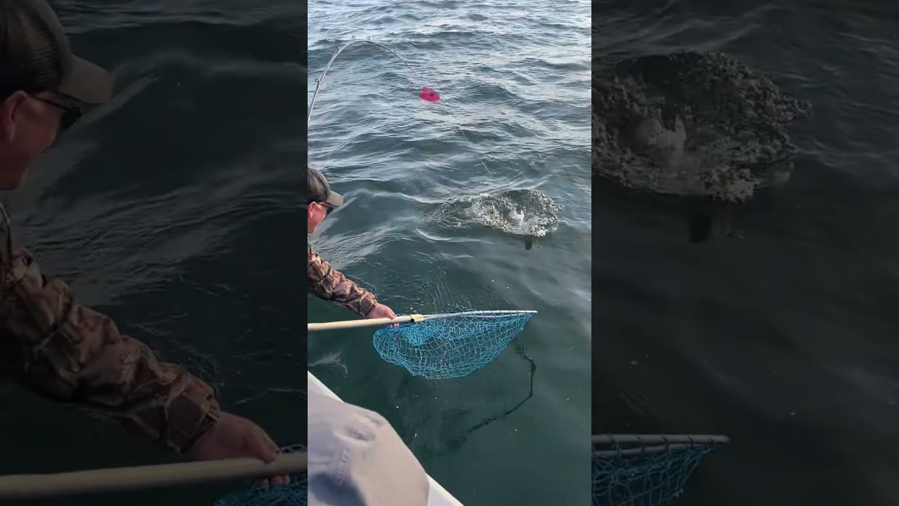 Veteran Fishing with MVFC