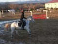 galop 4-5 galop 4-5