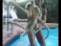 gunny swimming.3g2 gunny swimming.3g2