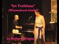 Wesendonck Lieder - Wagner - Im Treibhaus - Fayne (#2)