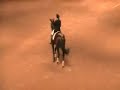 FEI Dressage Horses