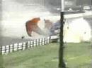 t9006   bufalo mix   the rossi home records crash incident