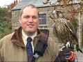 Dartmoor Hawking School of Falconry