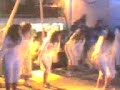 coreografia del concurso 2008the krumpster