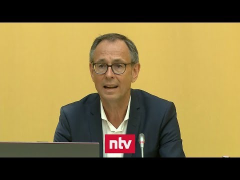 Populismus in Deutschland verfestigt sich, Rechtsextremismus jedoch wird immer unattraktiver | n-tv