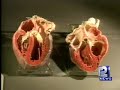 Controversial Exhibit Comes To Milwaukee