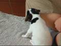 videos de Bluna alias Wilma