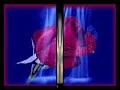 A Magia do Amor