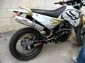 SUNDOWN STX MOTARD
