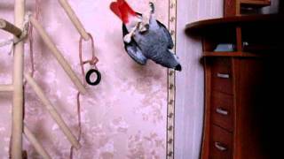 Жако Кима. Тарзанка)))