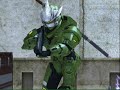 update halo news