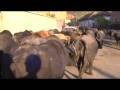 videos de Made in Germany | German Investors in Romania