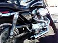 03 XL883 Sportster with Bassani Exhaust