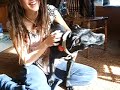 Katanna seal barks