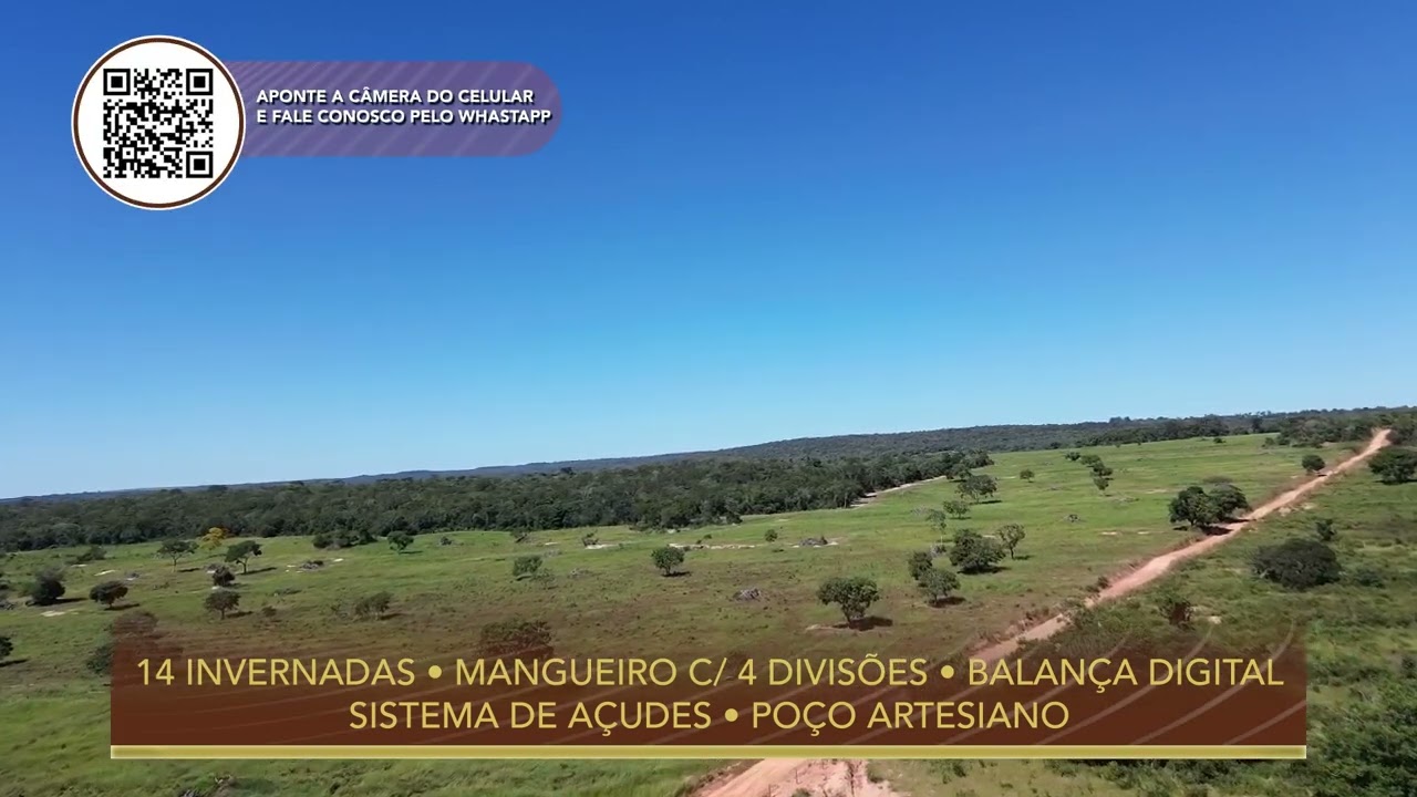 Terralmo 3: Fazenda à venda em Rio Negro/MS