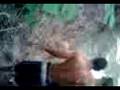 videos de Nilo Povoas: Welton vomitando