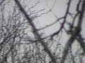 2-29-08 Twelve miles from airport 24-7abusiveaircraftx6 yrs Understanding Medical Research