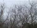 2-29-08 Twelve miles from airport 24-7abusiveaircraftx6 yrs