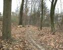BR216 im Stadtpark Leverkusen auf f�nf Zoll Schienen