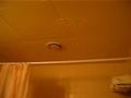 Toilet Toilet