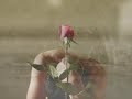 Cat Stevens-Sad Liza