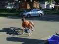 Three Wheeled Fun on a Tilting Trike