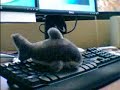 Computer Problems