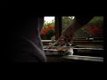 DVX+Letus+Nikon 28-105mm. Lense Test