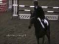 Little Lady//Bee Gee//Mr. Spot Me//Woodnook//Show Jumping