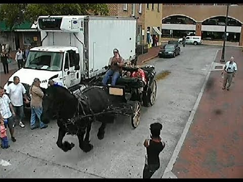 Savannah Carriage Tour Horse Spooked and Takes Off Downtown. WATCH!!