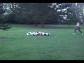 flipping over 6 people