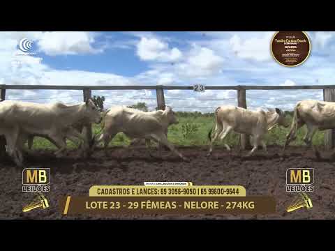 11� LEIL�O FAM�LIA LUCIANO DUARTE E CONVIDADOS