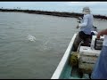 Robalo en el Cuyo