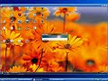 Clipboard-Sharing via RealVNC Clipboard-Sharing via RealVNC