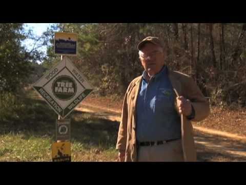 Meet a Private Tree Farmer