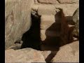 Part 8/14