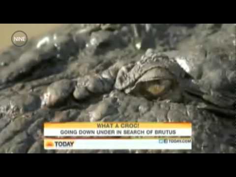 Imagen de previsualización de YouTube