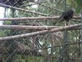 Zoologico Santa Fe 153